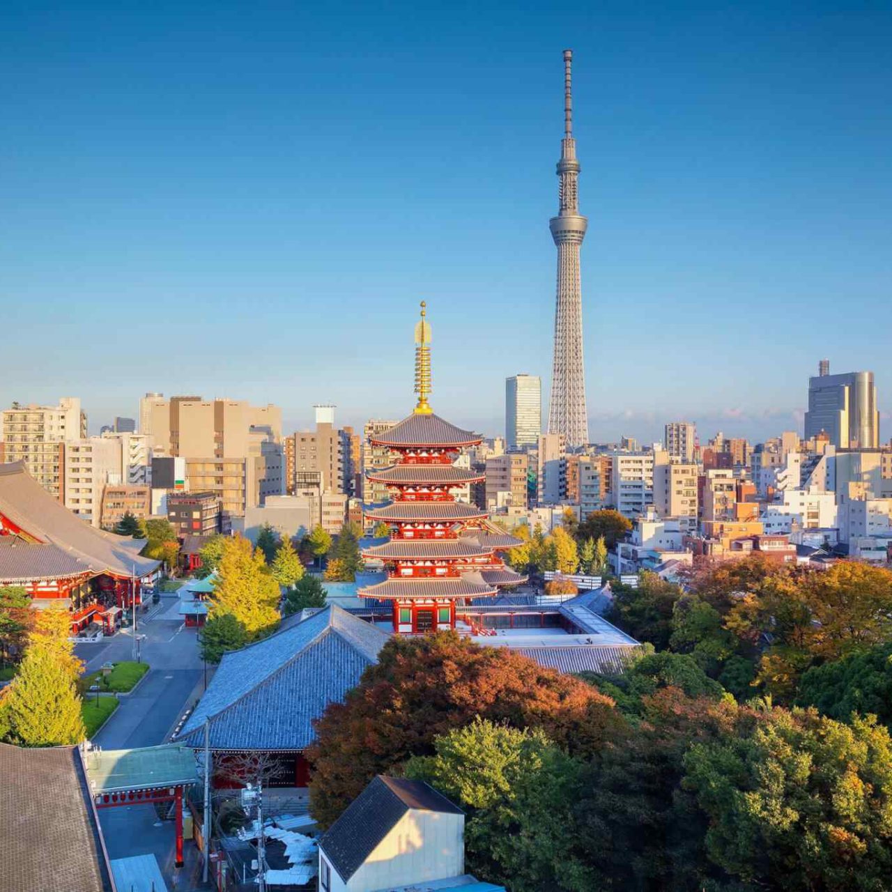 https://binmoosatravel.com/wp-content/uploads/2018/09/destination-tokyo-04-1280x1280.jpg