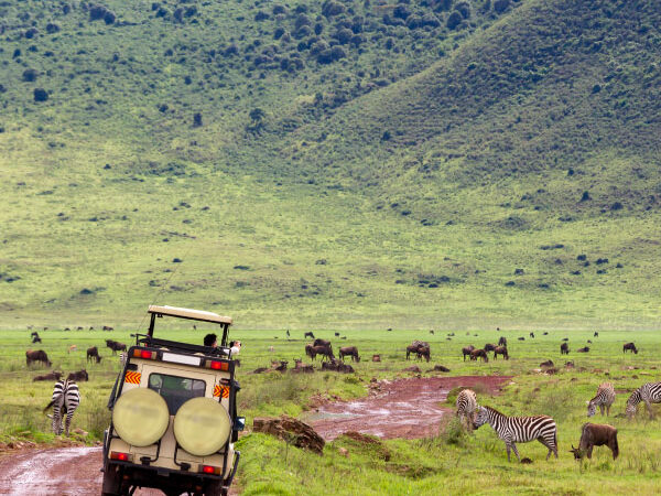 Delights Of Kenya And Tanzania – Jul To Oct