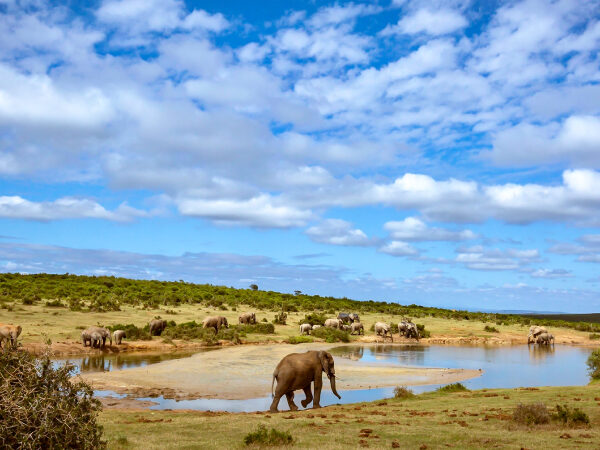 Splendid Kenya – Jul To Oct