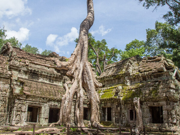 Vibrant Vietnam with Cambodia