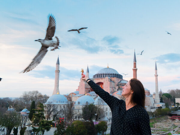 Turky By Land: Private Tour