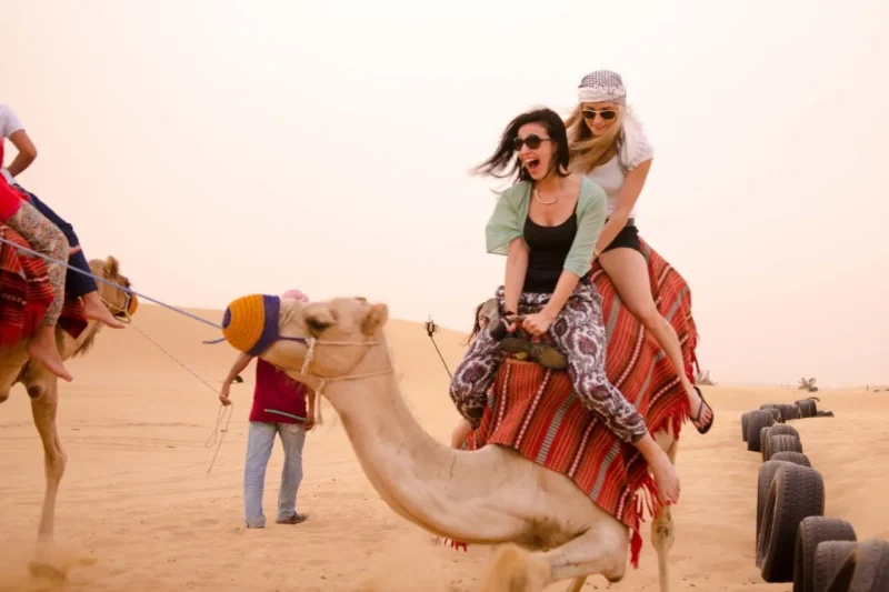 Camel Trekking Tour Abu Dhabi