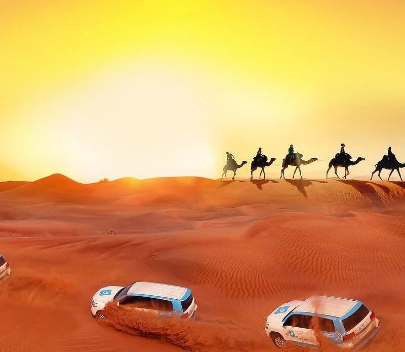 Abu Dhabi Evening Desert Safari