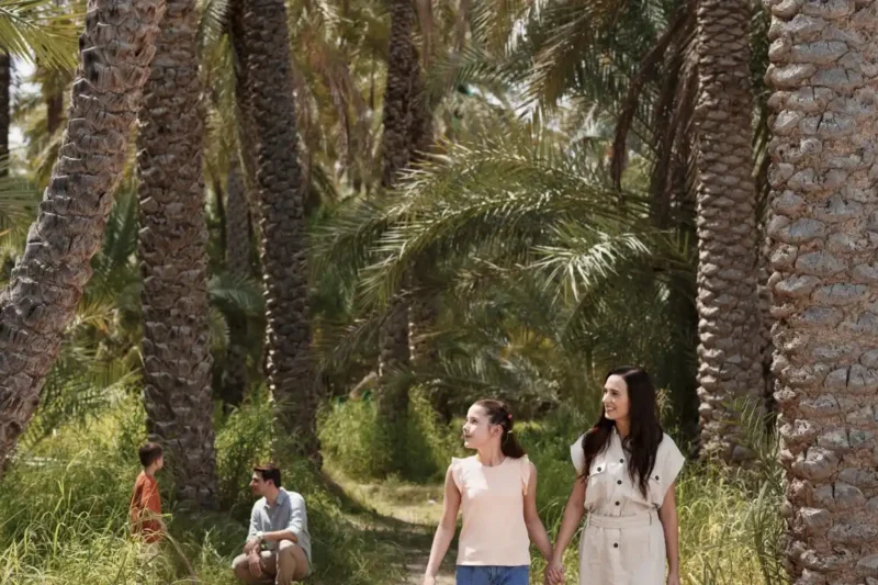 Al Ain Oasis Tour