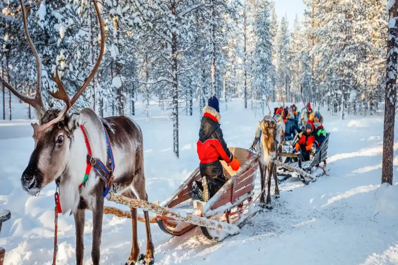 Best Of Finland (Winter Special)