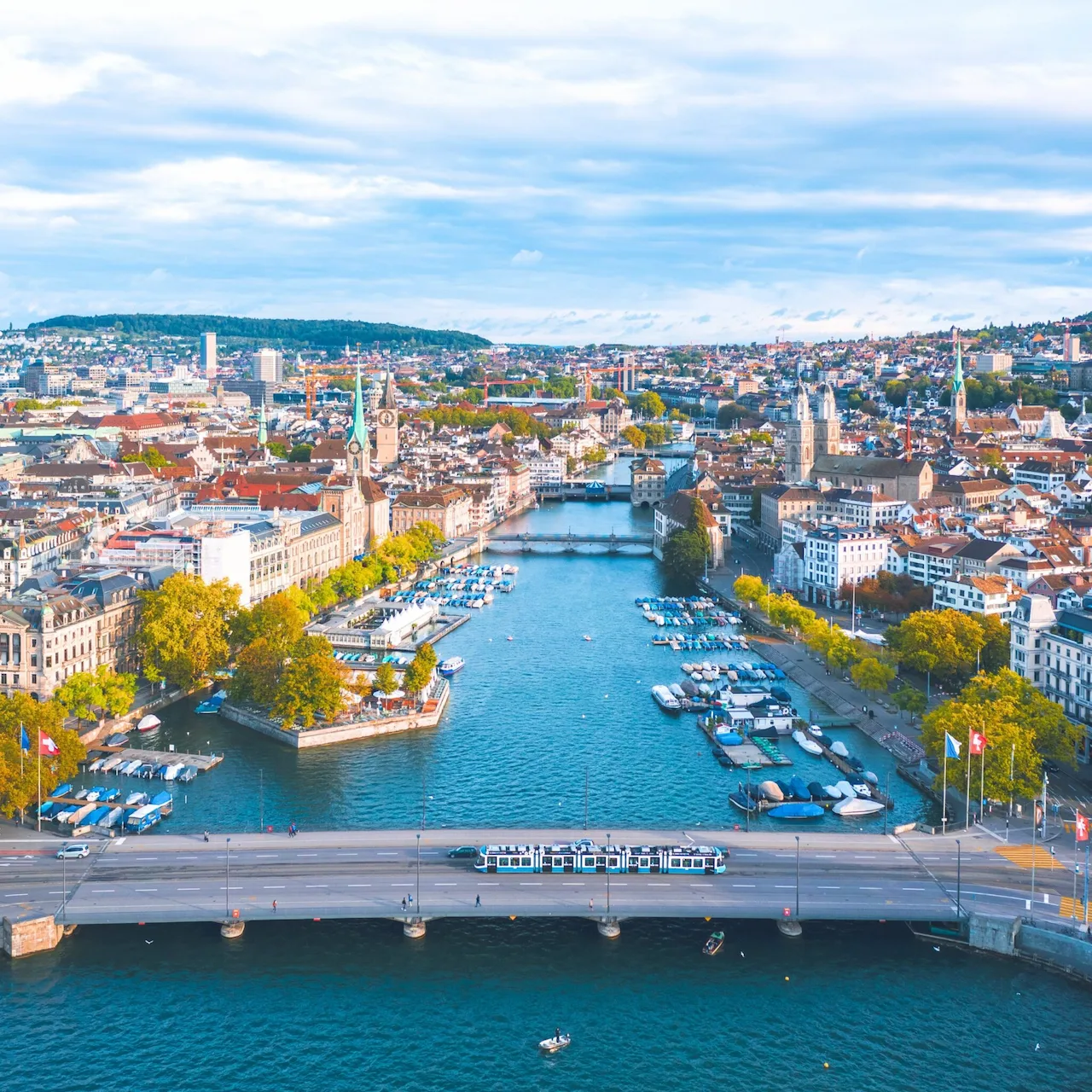 SWISS ITALIAN DHAMAKA