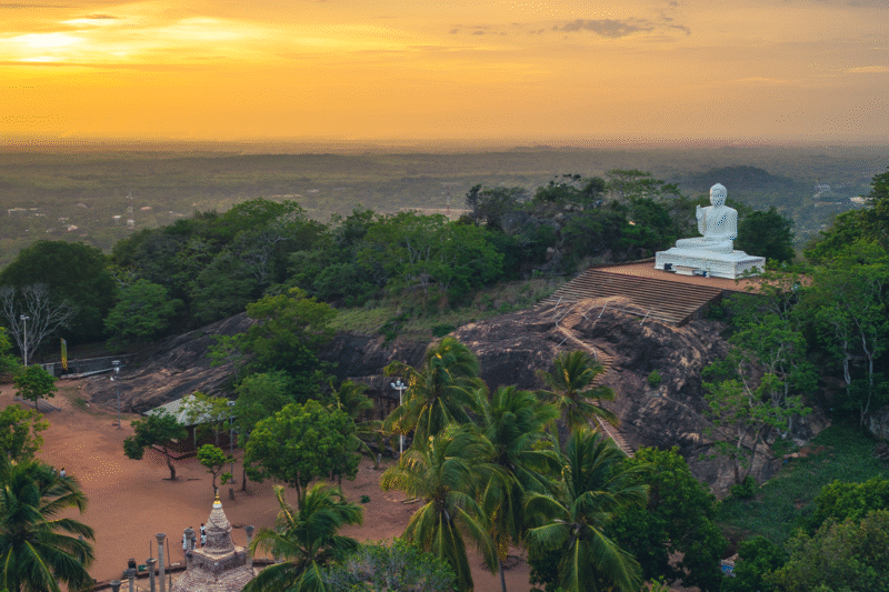Sri Lanka Essence: Heritage to Highlands