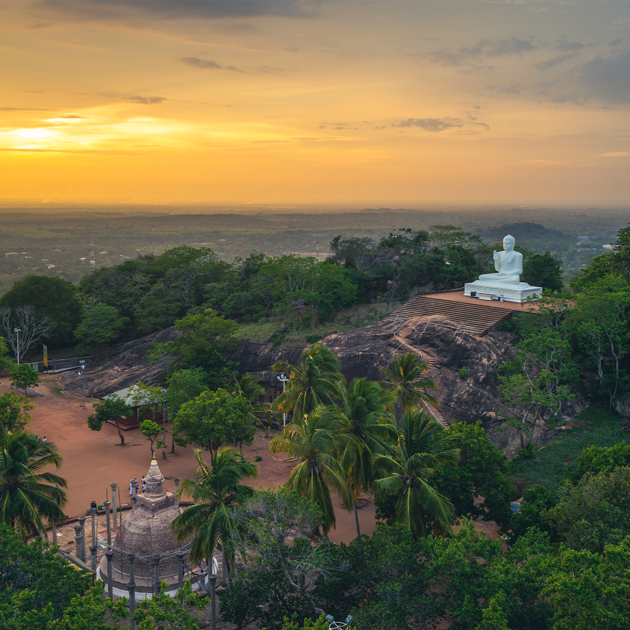 Sri Lanka Essence: Heritage to Highlands